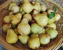 Pêra