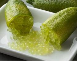 Limão Caviar Verde