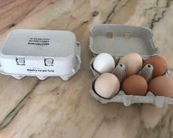 Ovos de galinhas autóctones portuguesas criadas ao ar livre segundo os princípios da agricultura biológica
