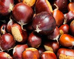 Castanhas