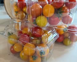 Tomate cherry