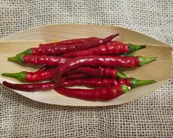 Pimenta Cayenne - 50gr.