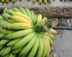 Banana maçã/pera/madeira