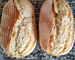 Pão de trigo ou mistura com centeio -massa mãe e fermentação longa - 600g