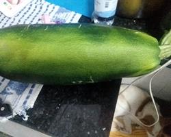 Courgette