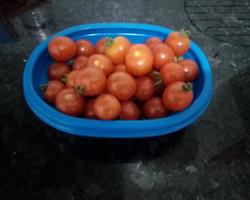 Tomate cherry - 250g