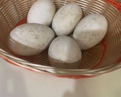 Ovos de Gansa caseiros