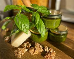 Molho Pesto