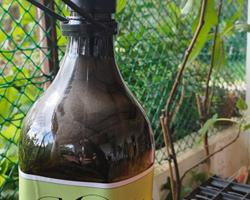 Azeite de Montemor Maquia