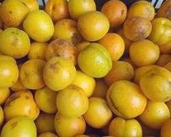Alperces / Damasco