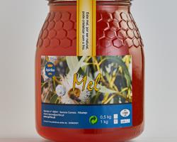 Mel de eucalipto - 1kg
