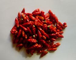 Piri piri Seco Ecológico