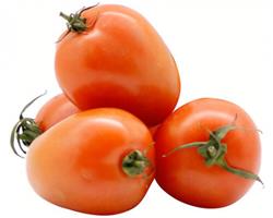 Tomate Chucha