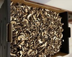 Cogumelos Shiitake Desidratados