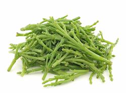 Salicórnia Fresca, 100g. Tok de Mar® by ALGAplus