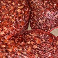 Jose Francisco Váz Bárbara