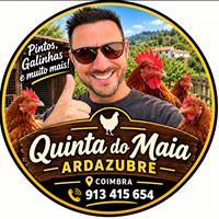 Paulo Maia