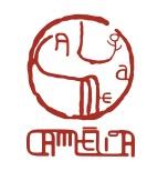 Chá Camélia