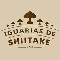 Iguarias de Shiitake