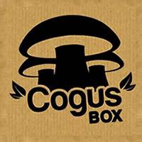 CogusBox