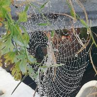 Luís Filipe Rodrigues