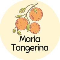 Contatos do Maria Tangerina