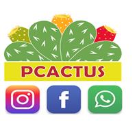 Contatos do PCACTUS