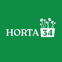 Horta 34