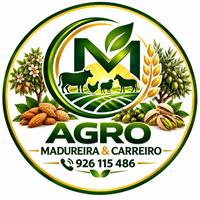 Cristiano Carreiro