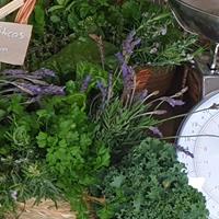 Contatos do Ana Oliveira